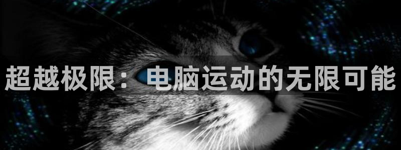 bbin视讯下