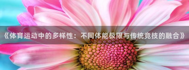 bbin视讯游戏官网