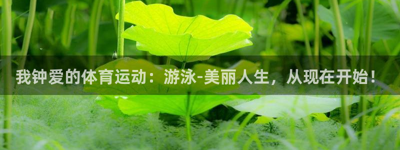bbin视讯