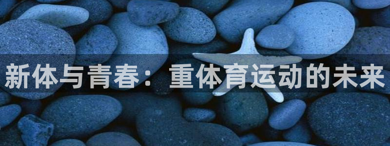 bbin视讯游戏平台