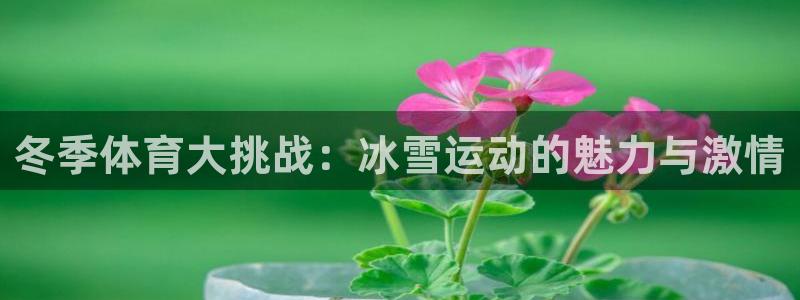 bbin视讯