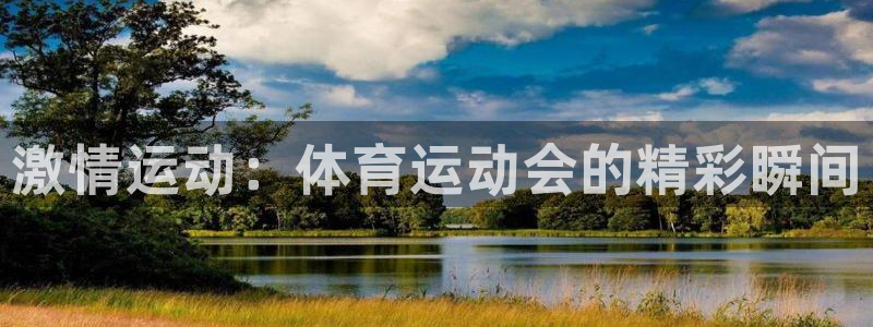 bbin视讯游戏平台