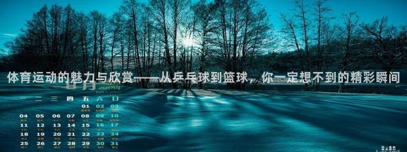 bbin视讯游戏官网