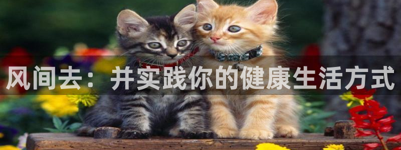 bbin视讯下