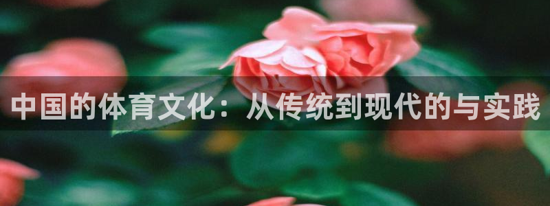 bbin视讯下