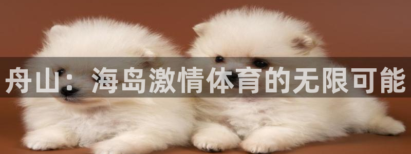 bbin视讯下