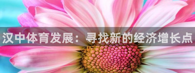 bbin视讯游戏平台