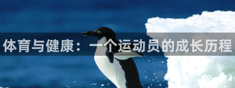 bbin视讯游戏平台