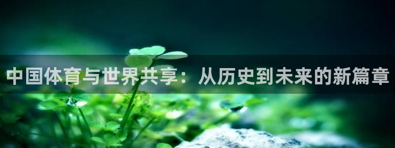 bbin视讯下