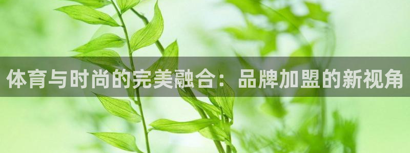 bbin视讯游戏平台