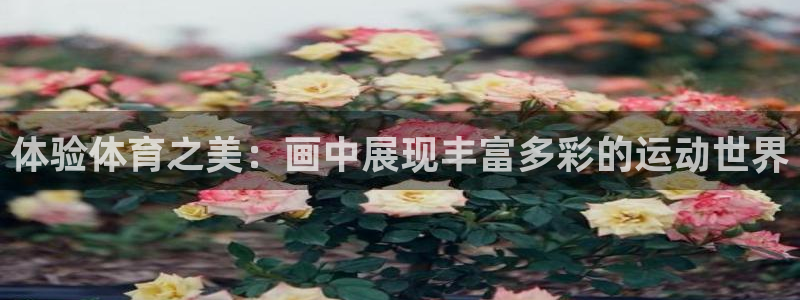 bbin视讯游戏官网